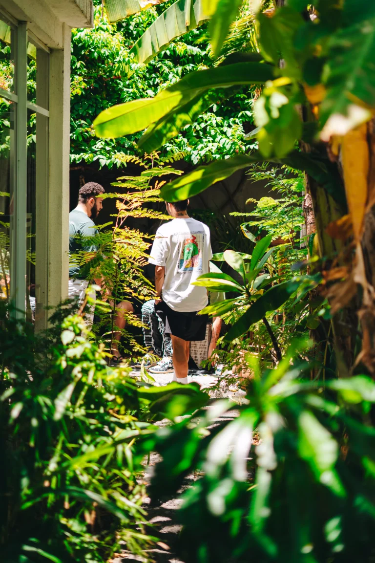 AnyConv.com__LOU00936