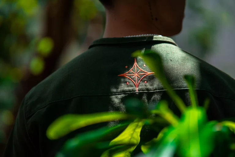 AnyConv.com__LOU00958